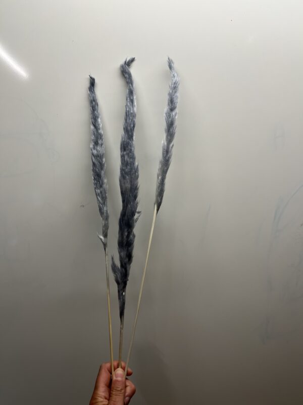 Mini pampas - lys blå - 3 stk